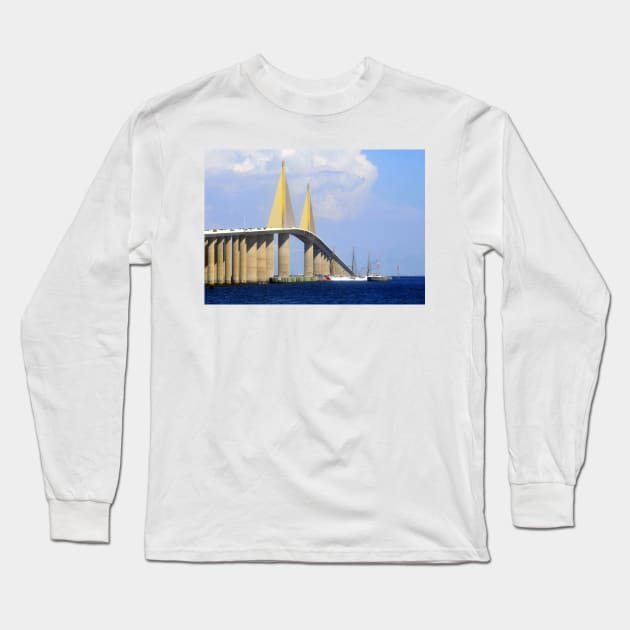 Eagle under the Skyway Long Sleeve T-Shirt by dltphoto